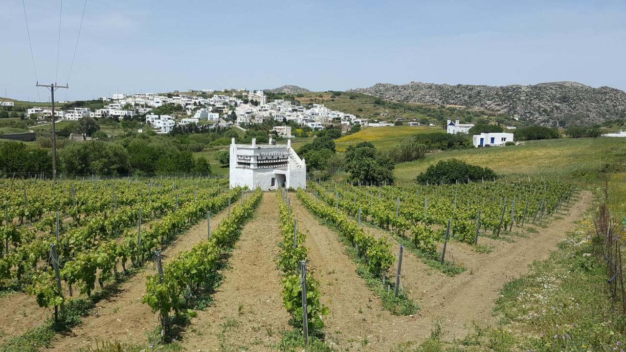 Villa Arokaria Stení 외부 사진